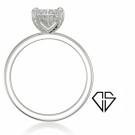 HAILEY LUX 1.106 CT thumbnail