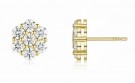 PETAL 1,4 CT thumbnail