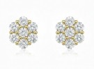 PETAL 1,4 CT thumbnail